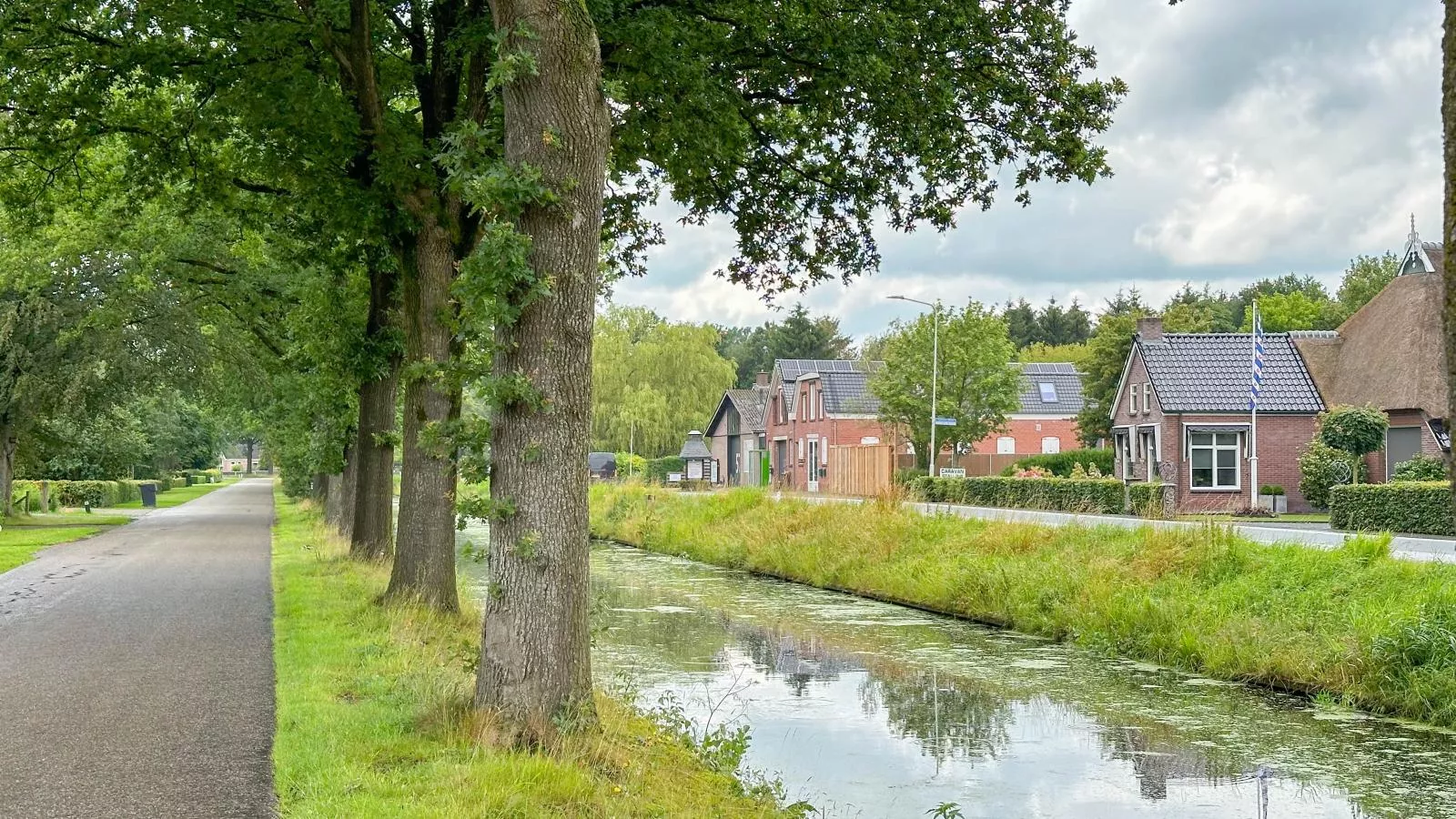 Loods 57B-Gebieden zomer 1km