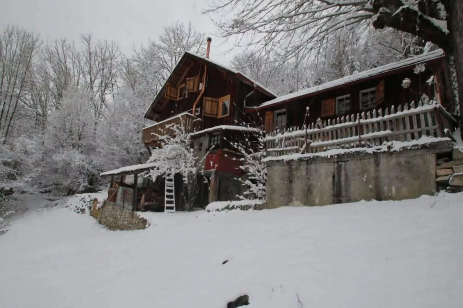 Heidi Chalet-Exterieur winter