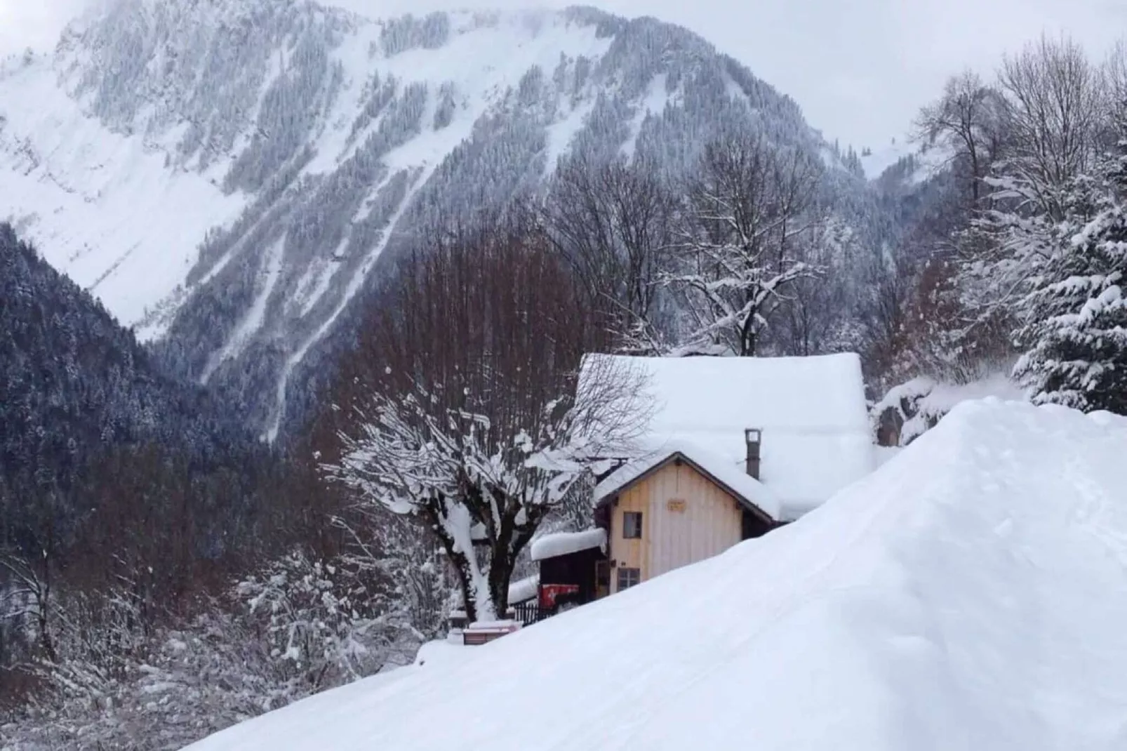 Heidi Chalet-Uitzicht winter