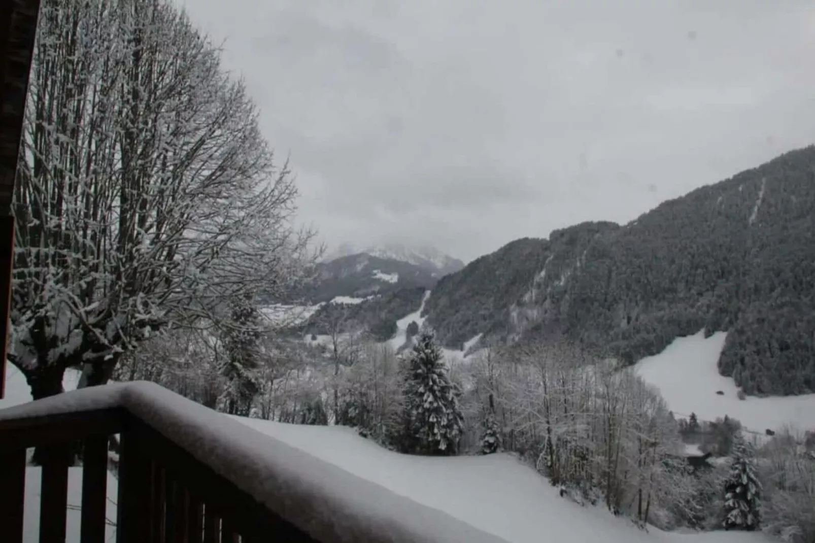 Heidi Chalet-Uitzicht winter