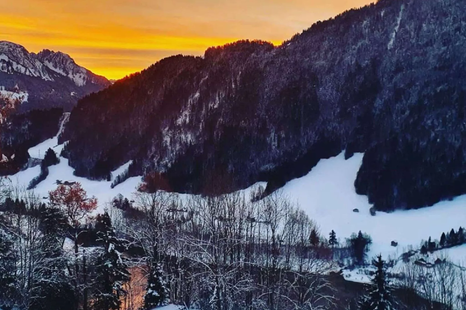 Heidi Chalet-Uitzicht winter