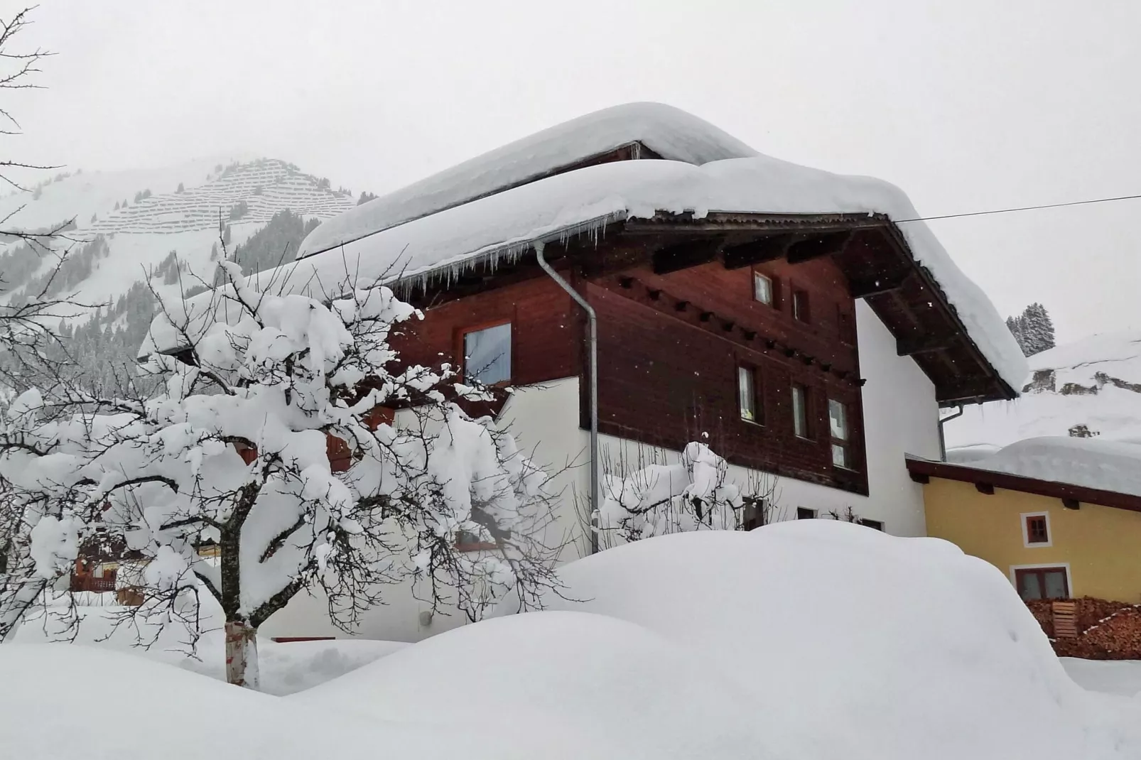 Ferienhaus-Exterieur winter