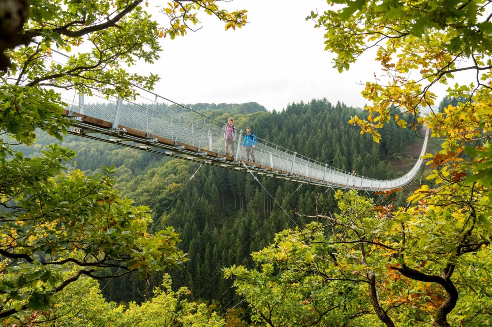 Ferienhaus zum Wäldchen-Gebieden zomer 20km