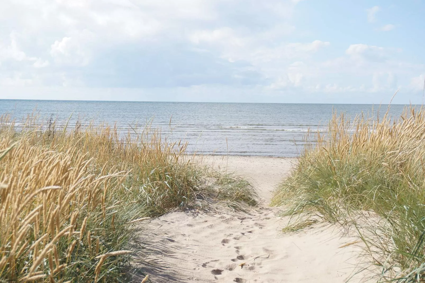 4 Personen vakantie huis in FALKENBERG-Niet-getagd