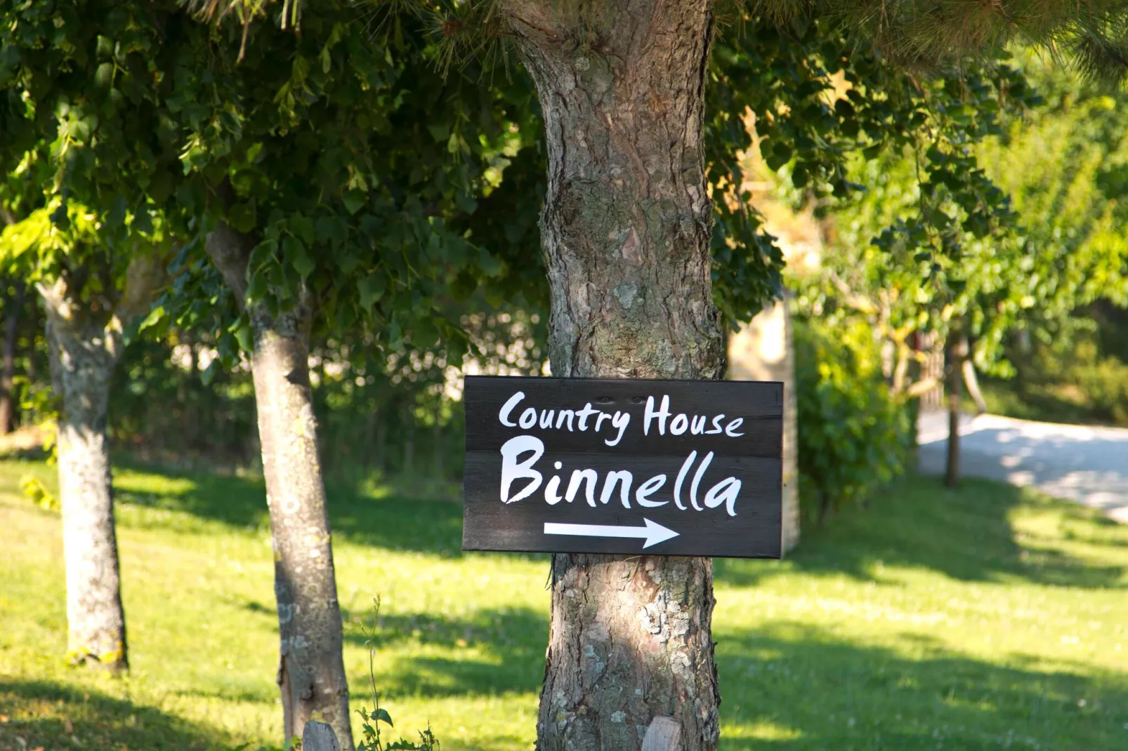 Binnella 10