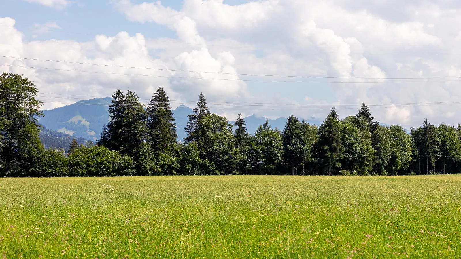 Alpin Hideaway L-Uitzicht zomer