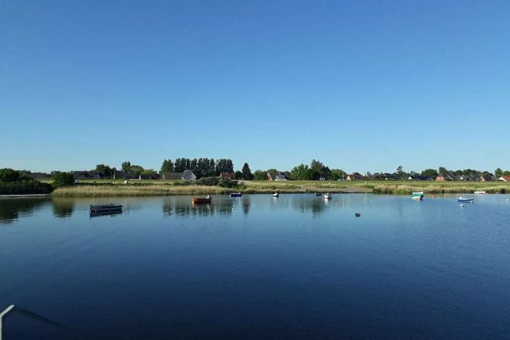 113419-Gebieden zomer 5km