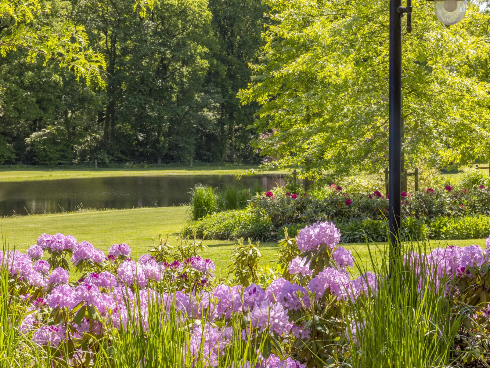 Familieboerderij-Buiten