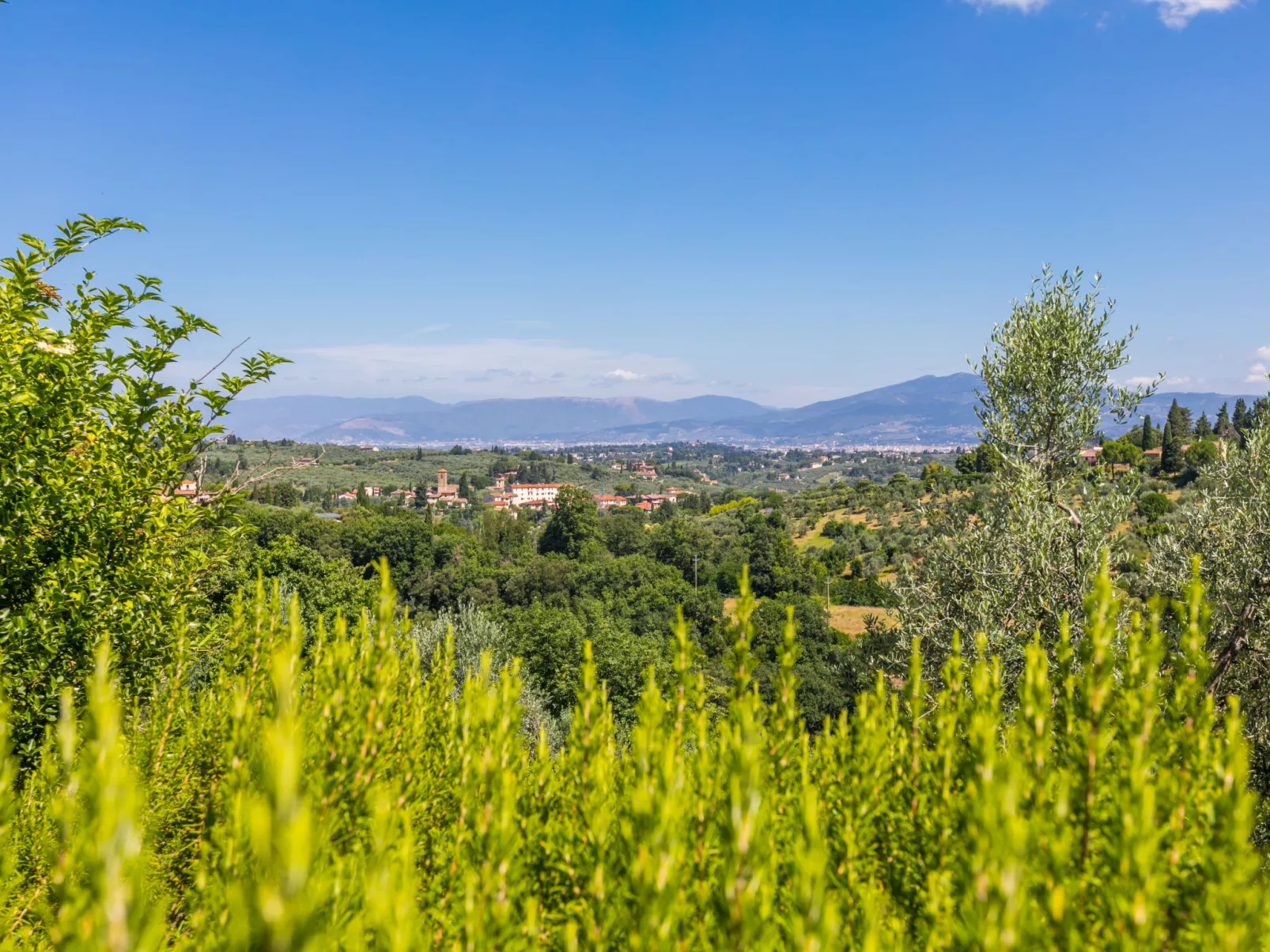 Poggio de'Galli-Buiten