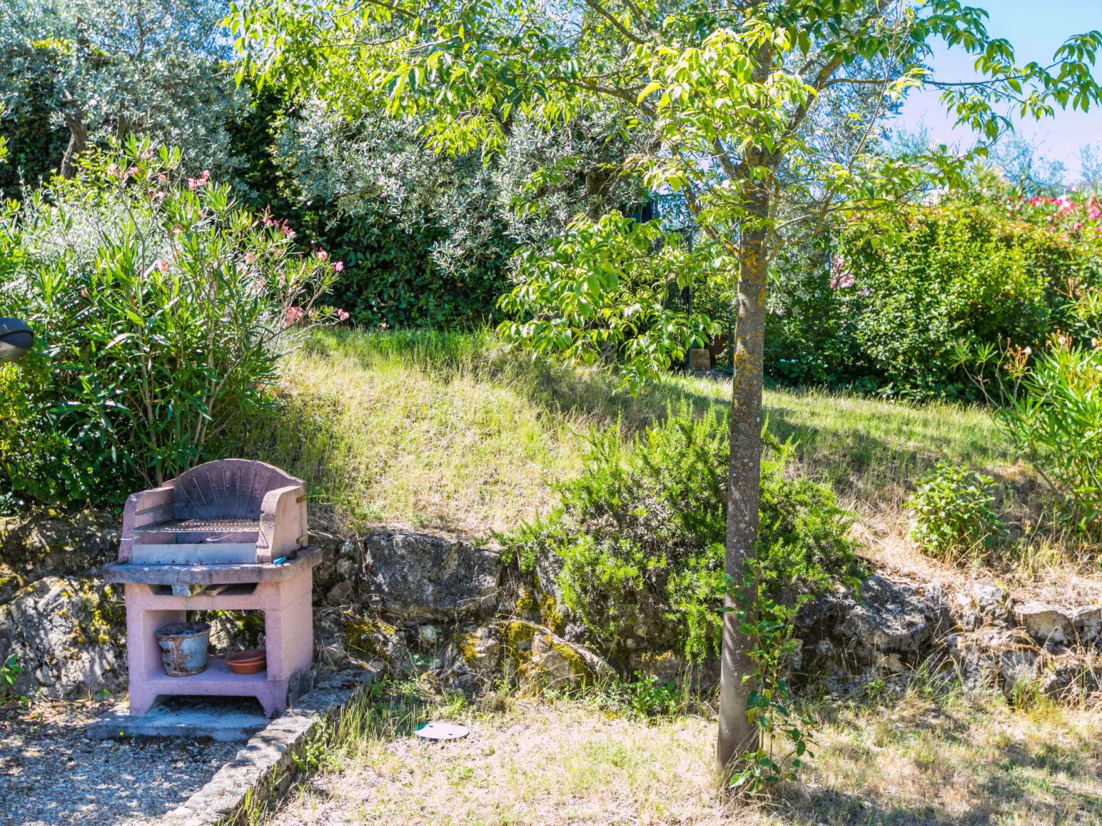 Poggio de'Galli-Buiten