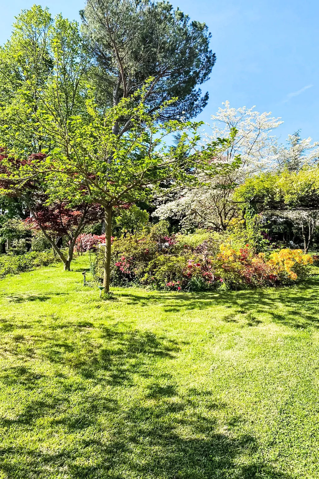 Il Giardino Di Eugenia-Buiten