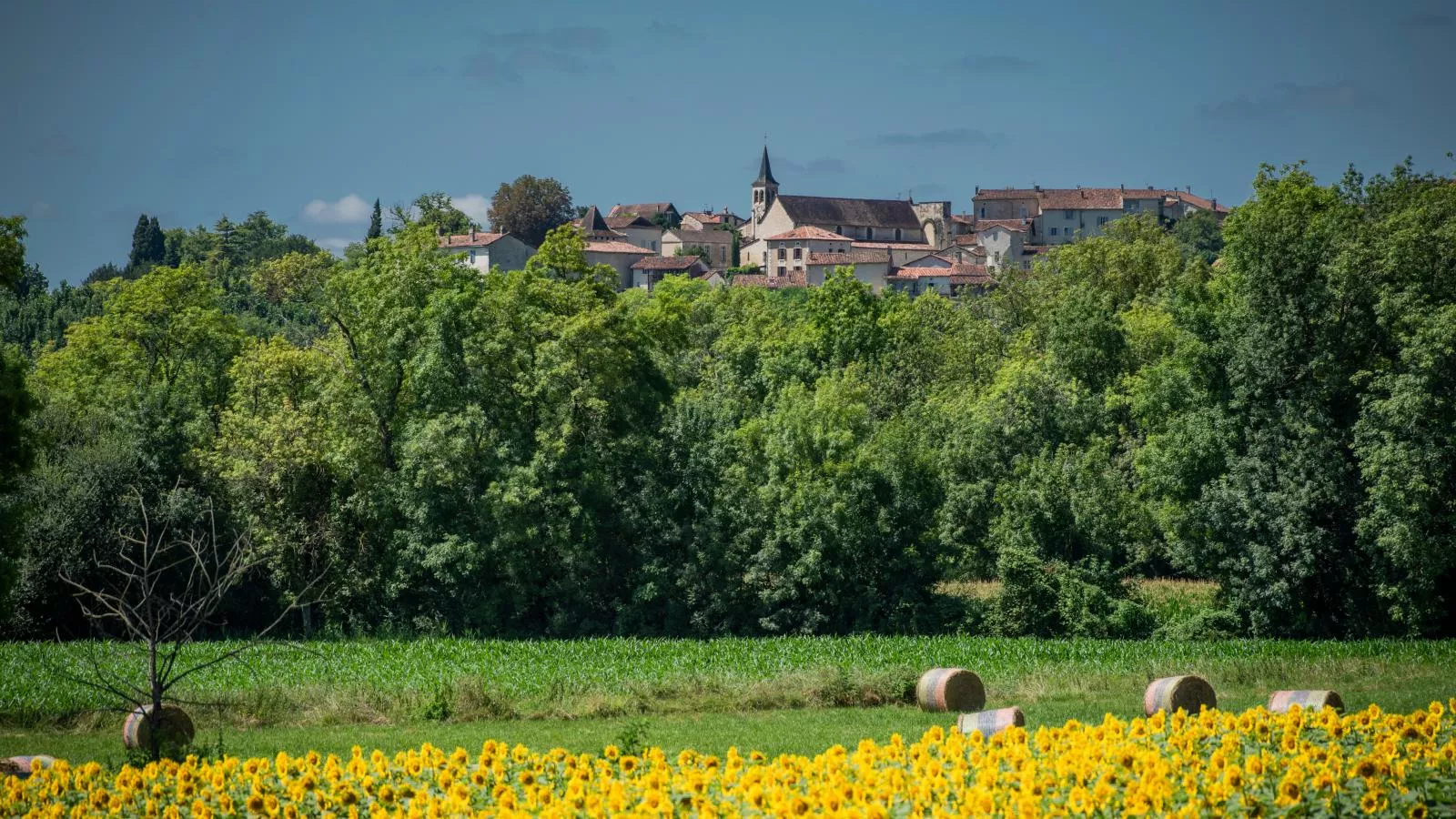 La Maison vers la Coline-Uitzicht zomer