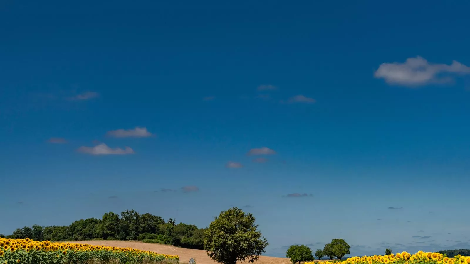 La Maison vers la Coline-Gebieden zomer 5km