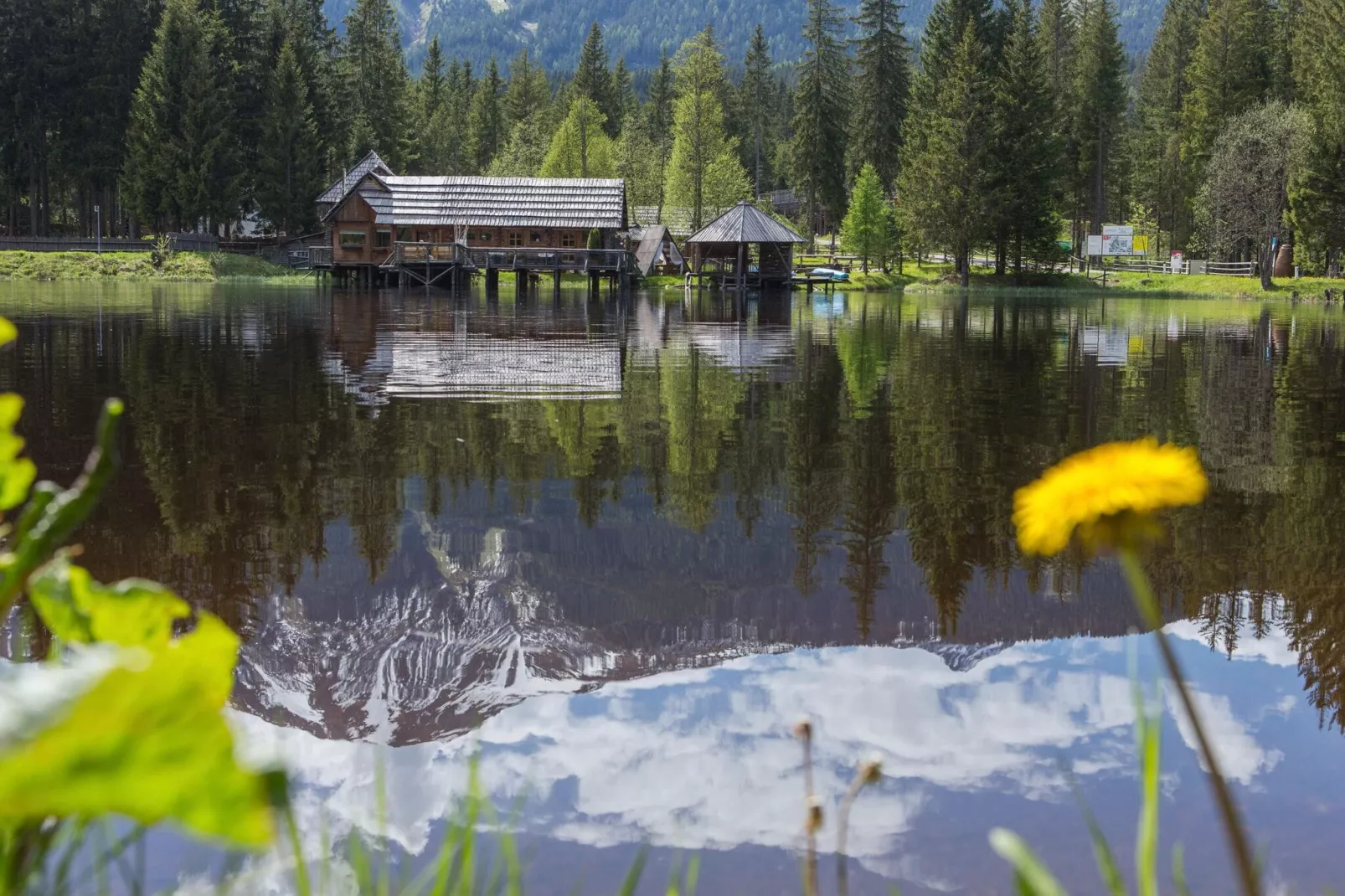 Almdorf Hohentauern 53-Buitenkant zomer