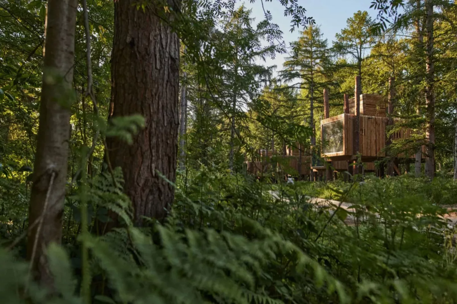 The TreeLoft by YourNature-Buitenkant zomer