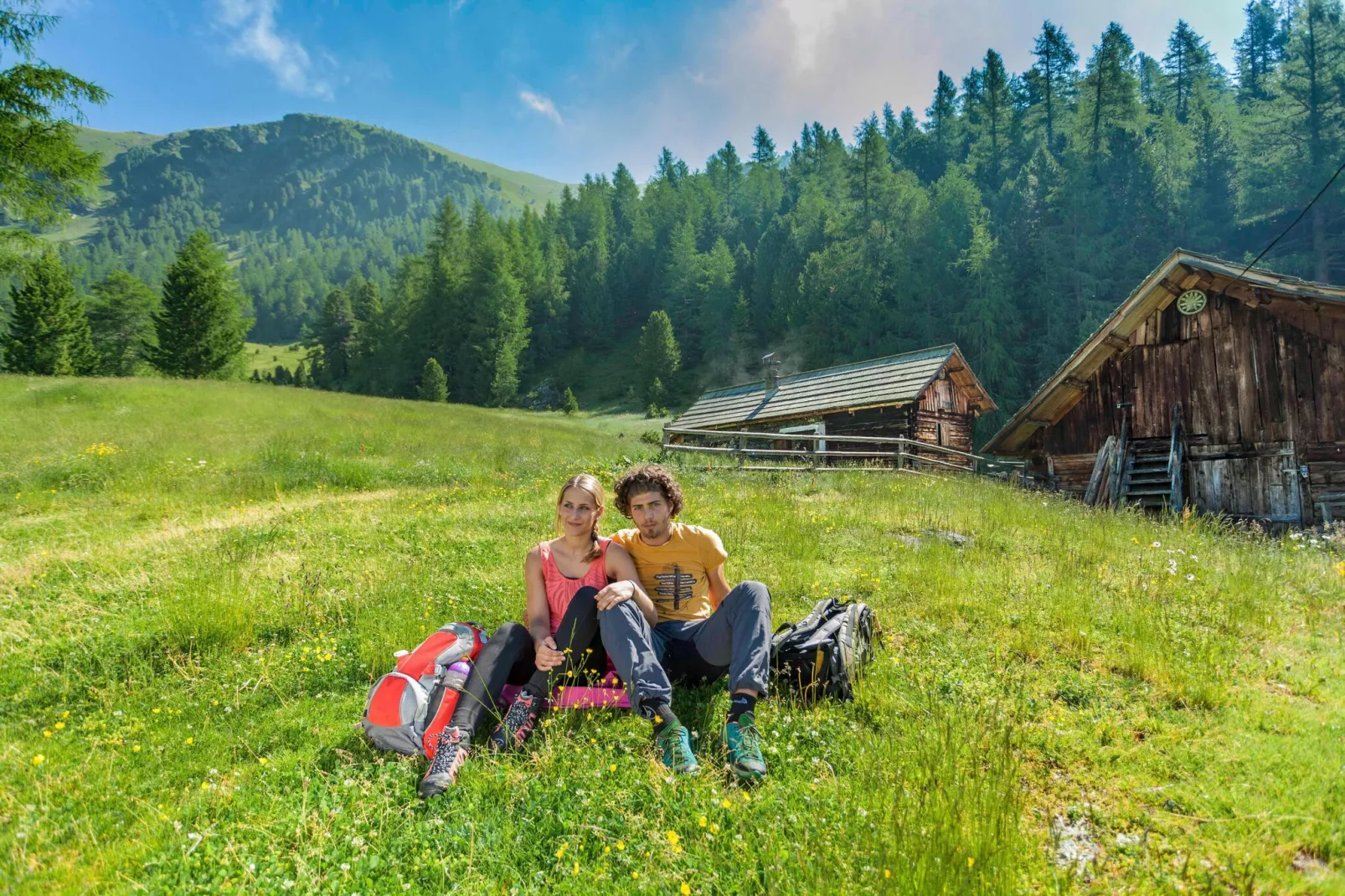 Alpenpark Turrach 35-Gebieden zomer 1km