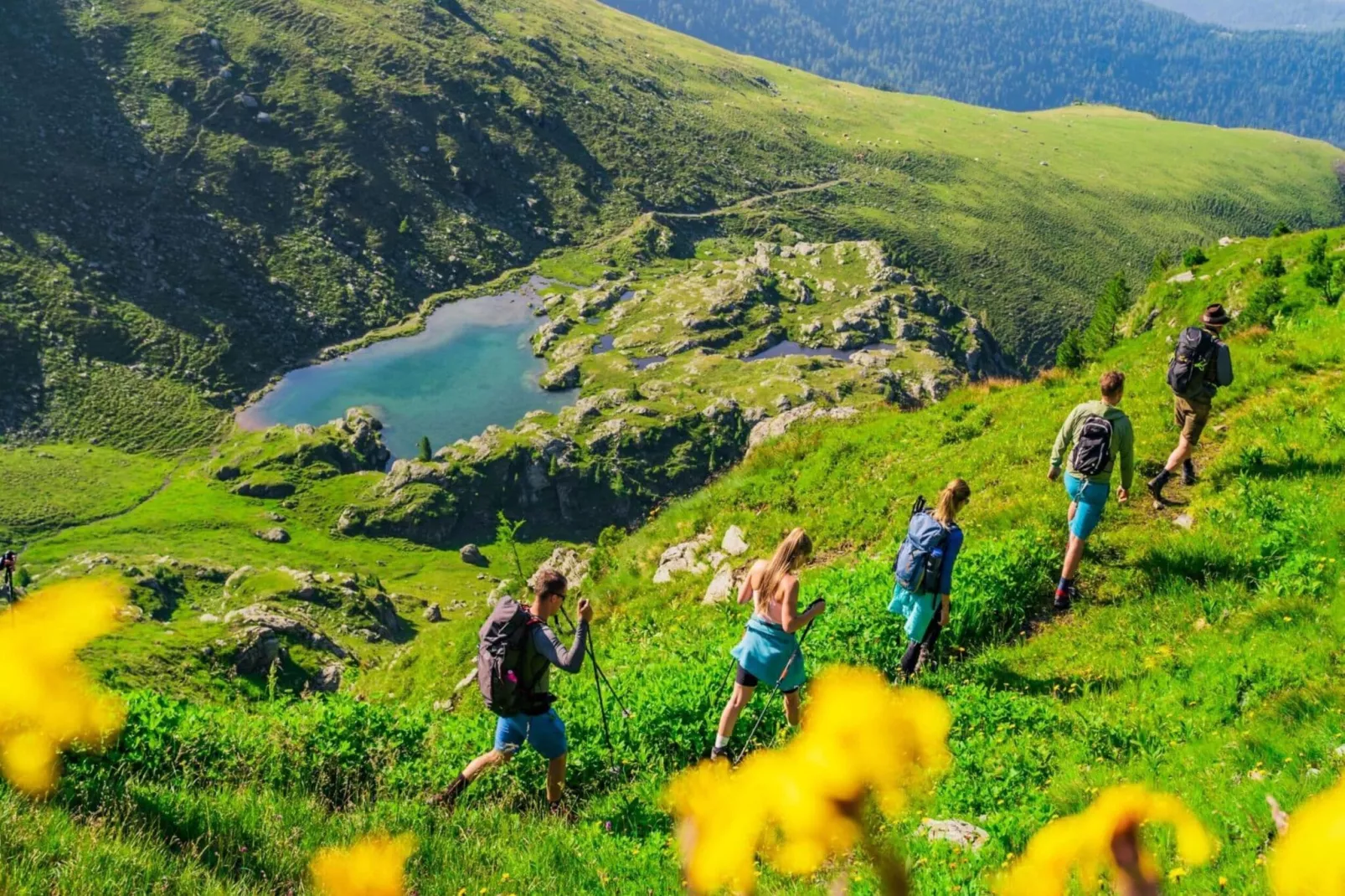 Alpenpark Turrach 35-Gebieden zomer 5km