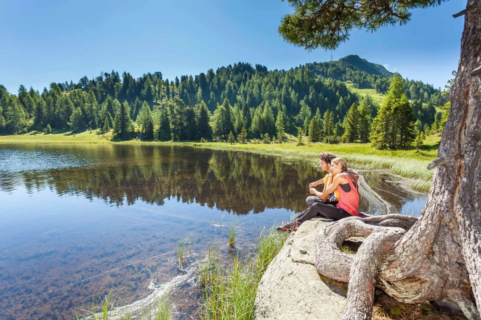 Alpenpark Turrach 35-Gebieden zomer 5km