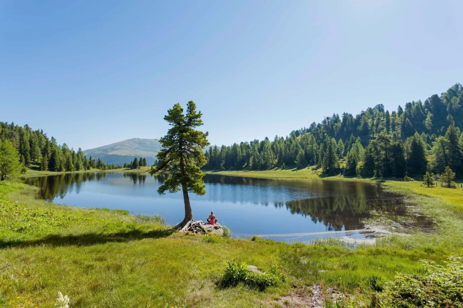 Alpenpark Turrach 35-Gebieden zomer 20km