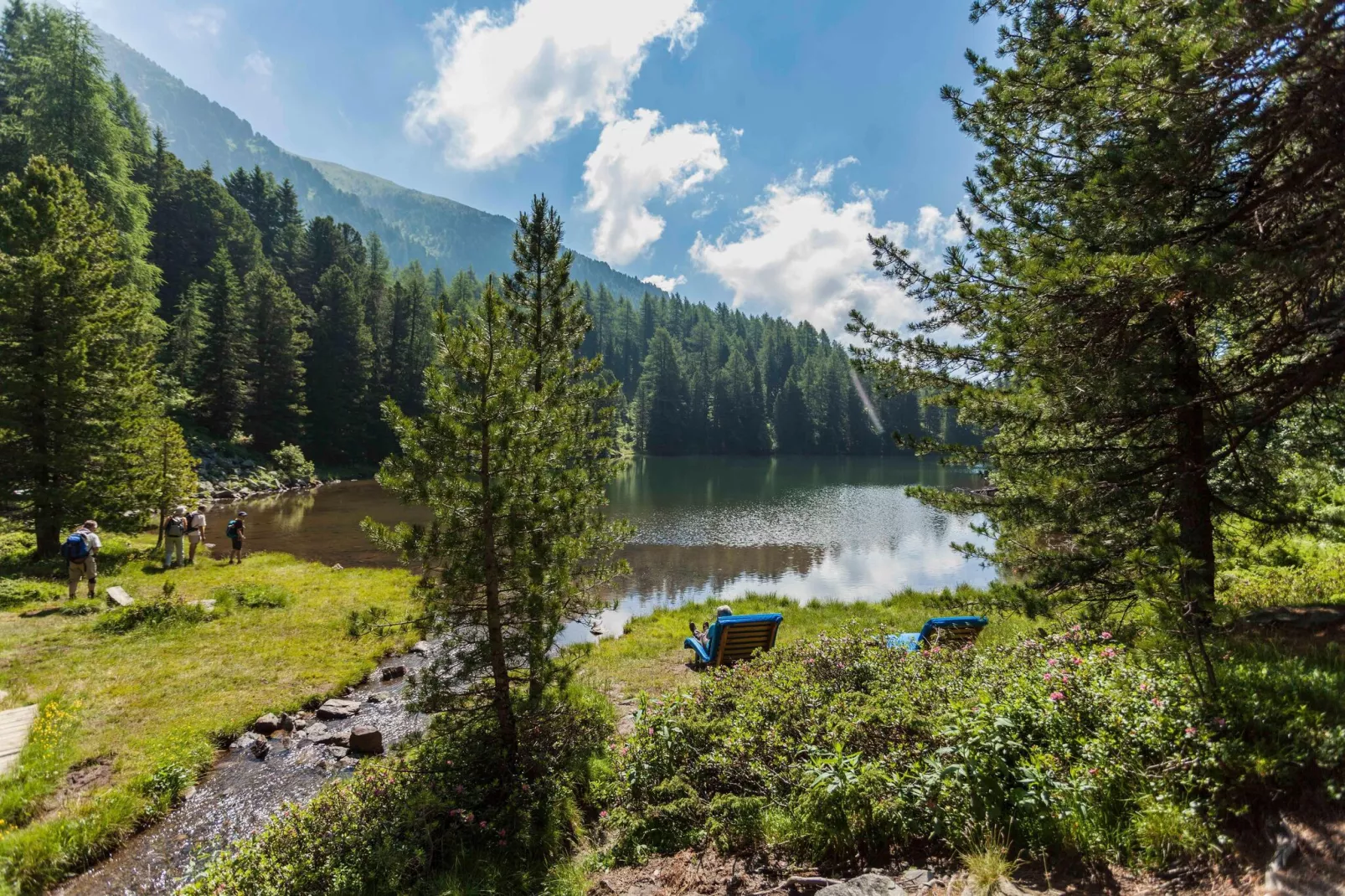 Alpenpark Turrach 37-Gebieden zomer 5km