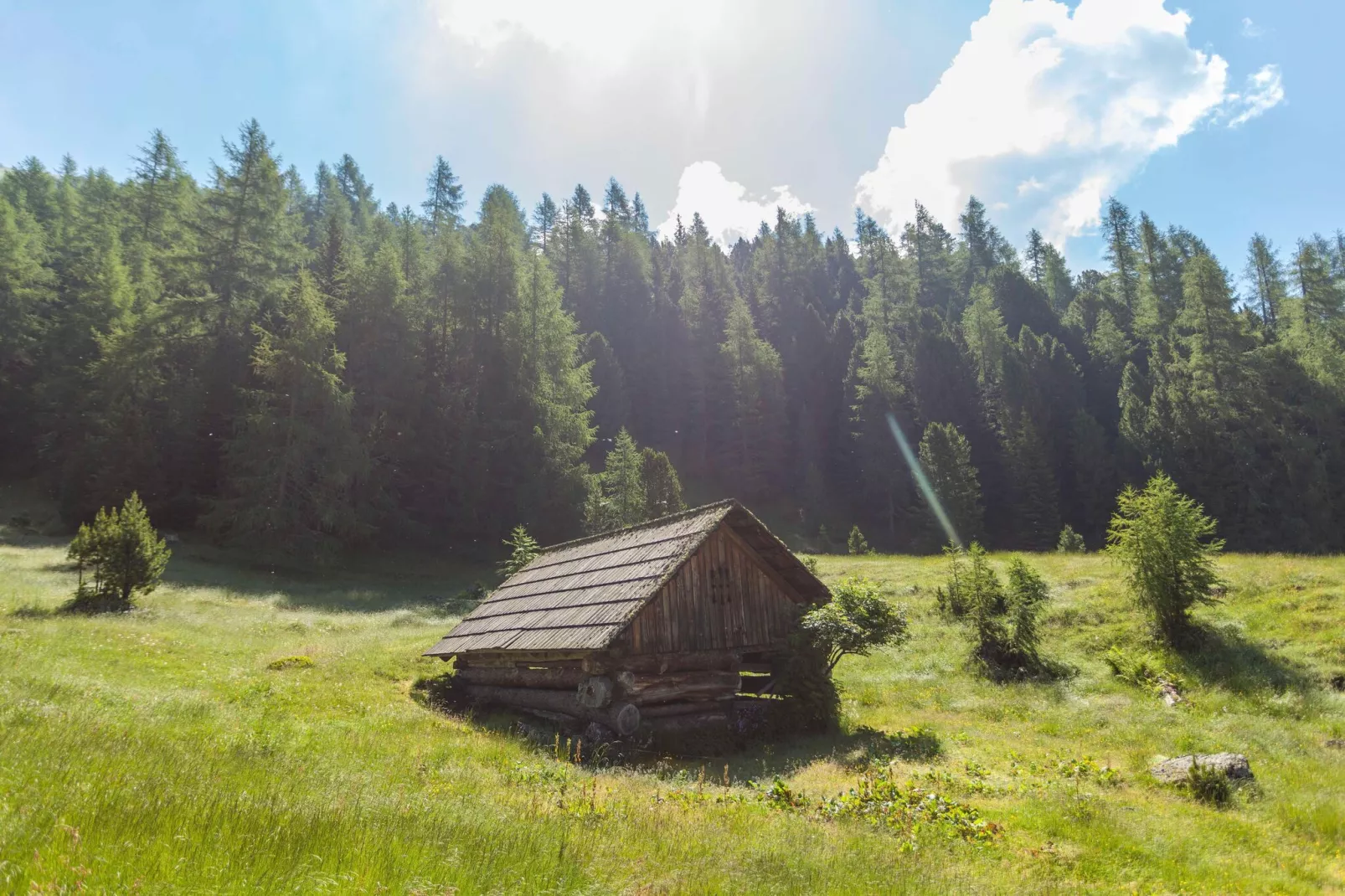 Alpenpark Turrach 38-Gebieden zomer 5km