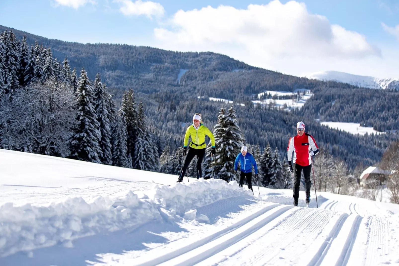 Alpenpark Turrach 38-Gebied winter 5km