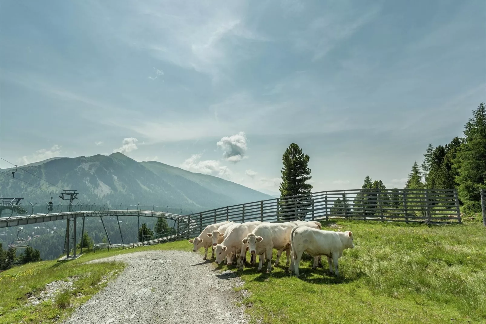 Alpenpark Turrach Apartments 6-Gebieden zomer 1km