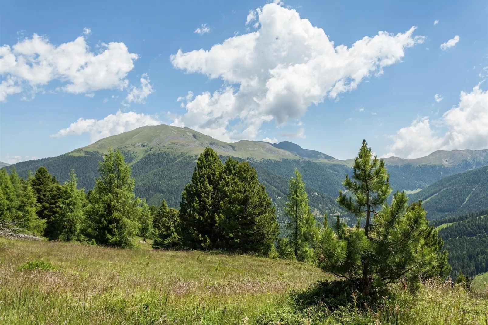 Alpenpark Turrach Apartments 6-Gebieden zomer 5km