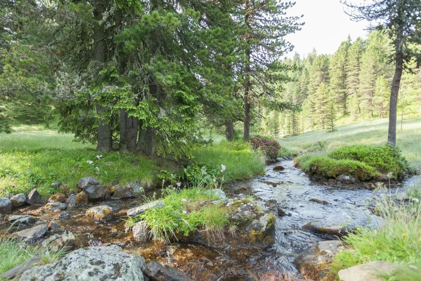 Alpenpark Turrach Apartments 6-Gebieden zomer 20km