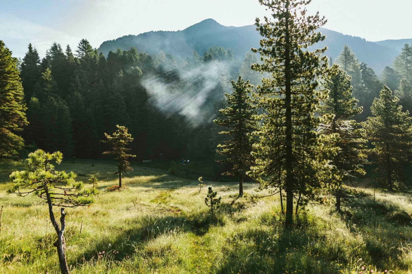 Alpenpark Turrach 4-Uitzicht zomer