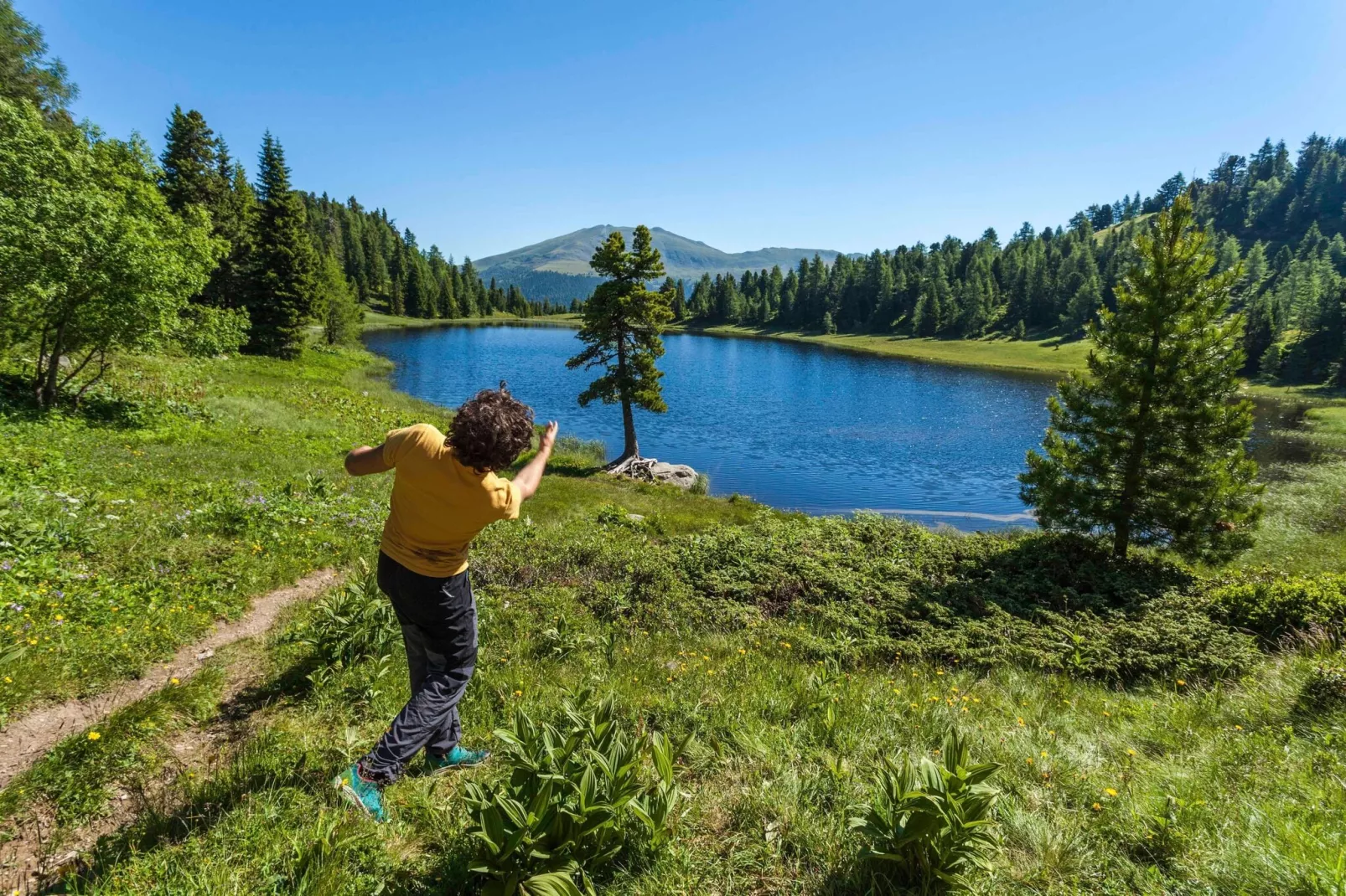 Alpenpark Turrach 4-Gebieden zomer 5km