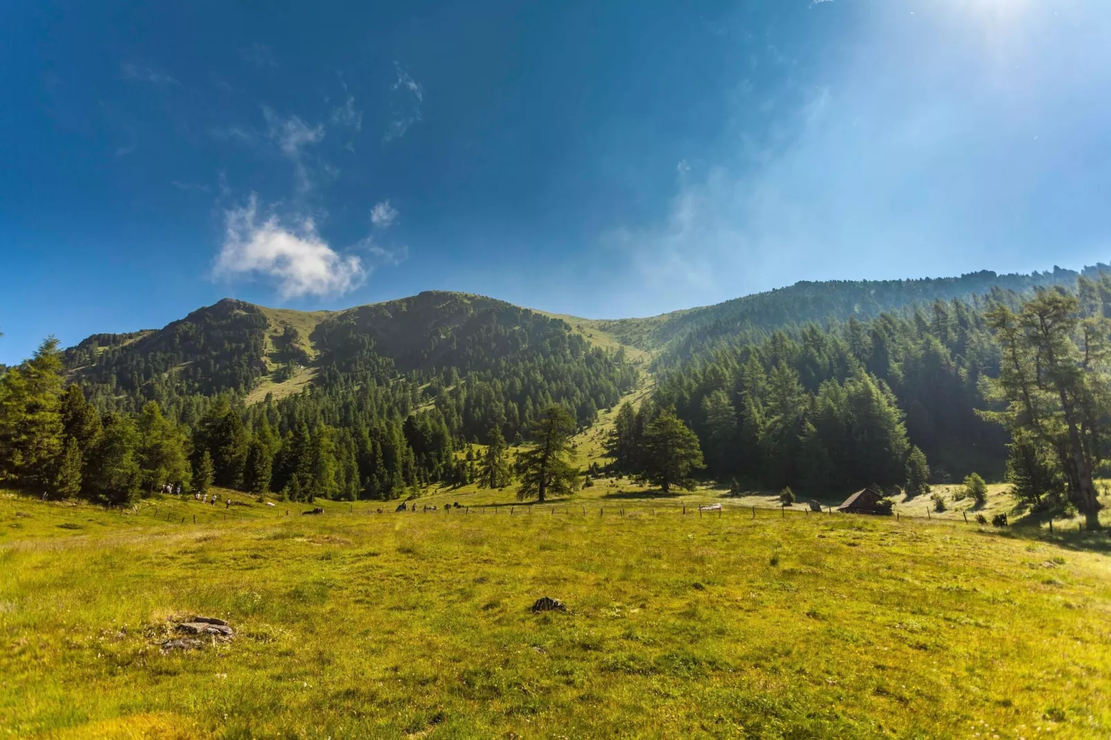 Alpenpark Turrach 4-Gebieden zomer 5km