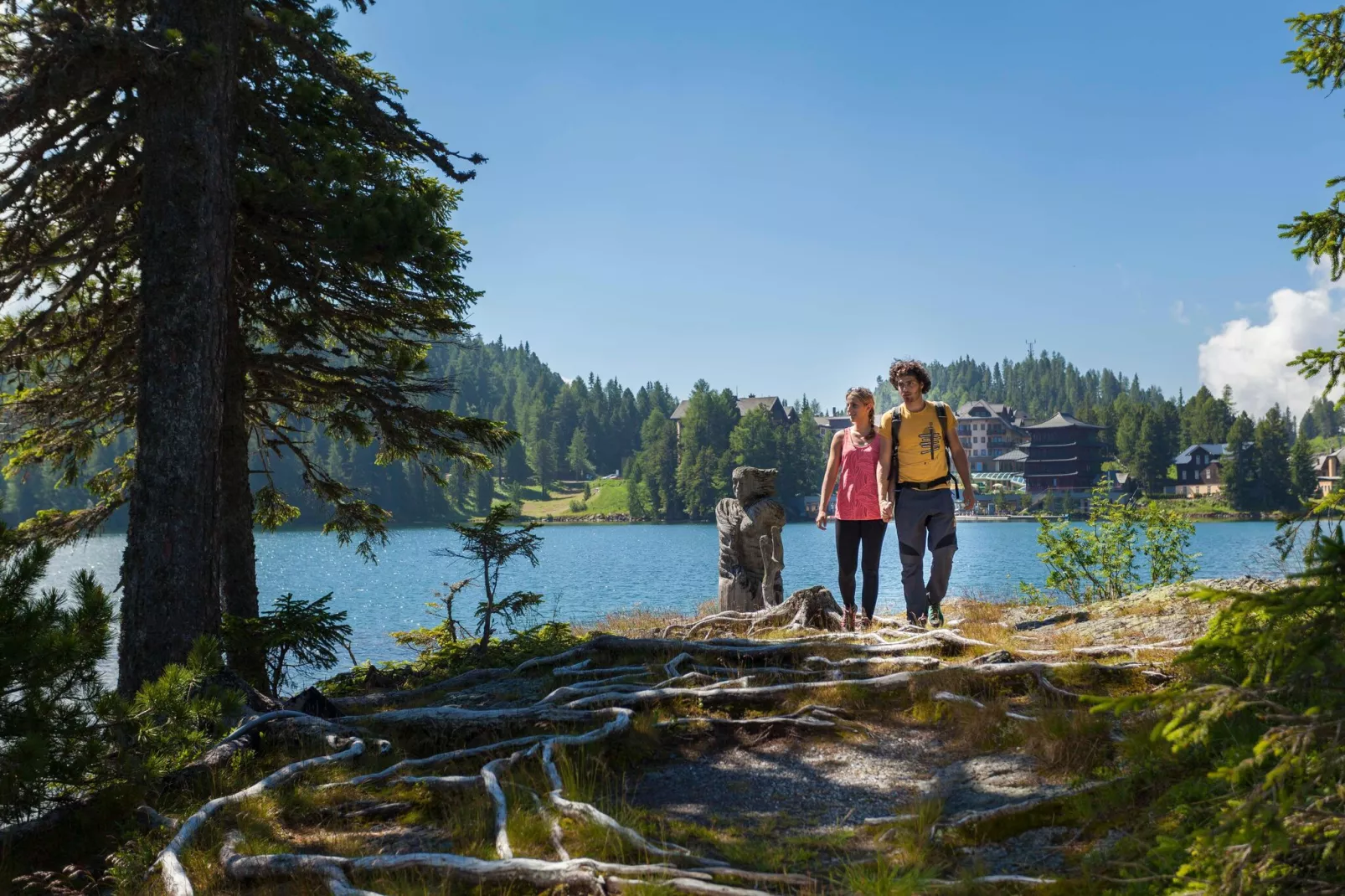 Alpenpark Turrach 4-Gebieden zomer 5km