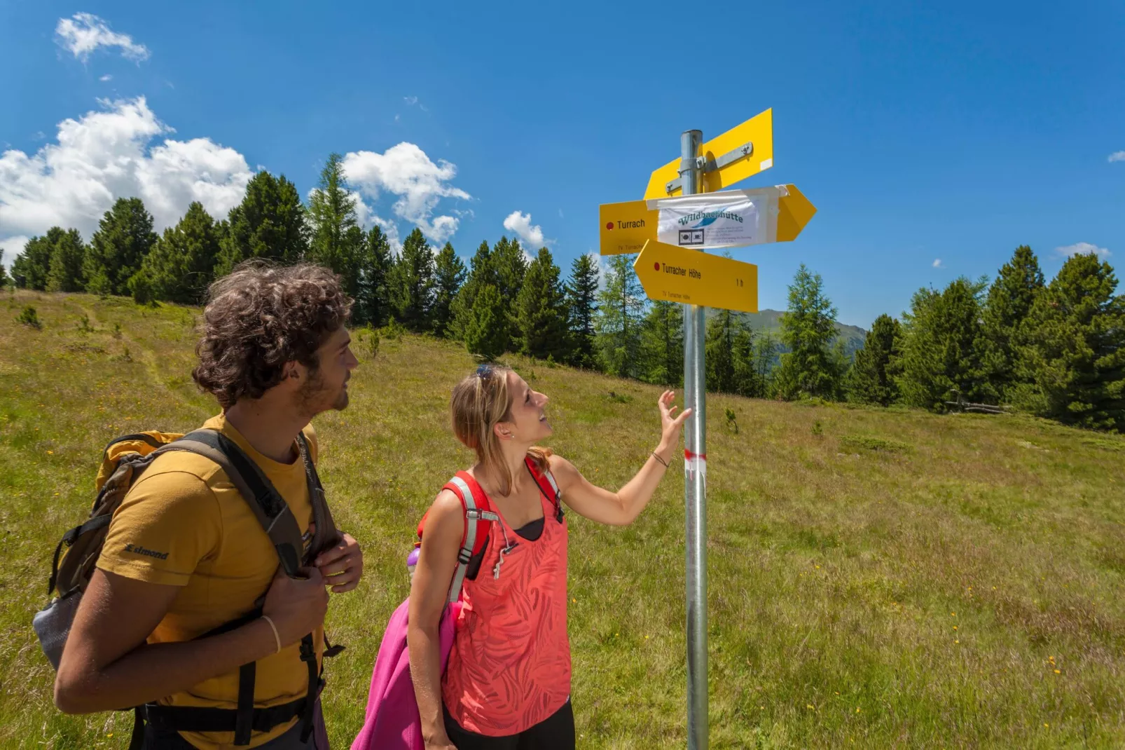 Alpenpark Turrach 4-Gebieden zomer 5km