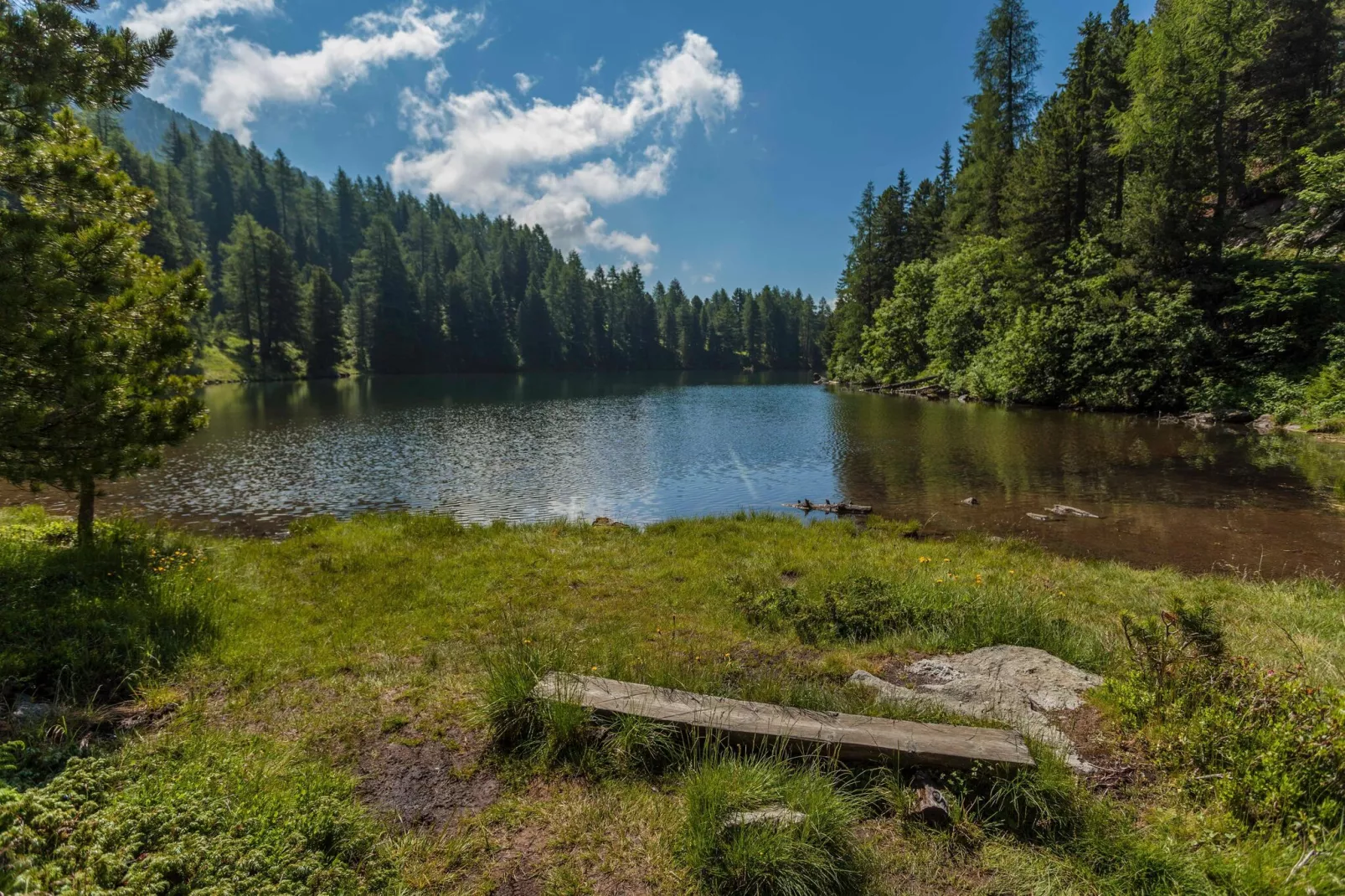 Alpenpark Turrach 5-Gebieden zomer 5km