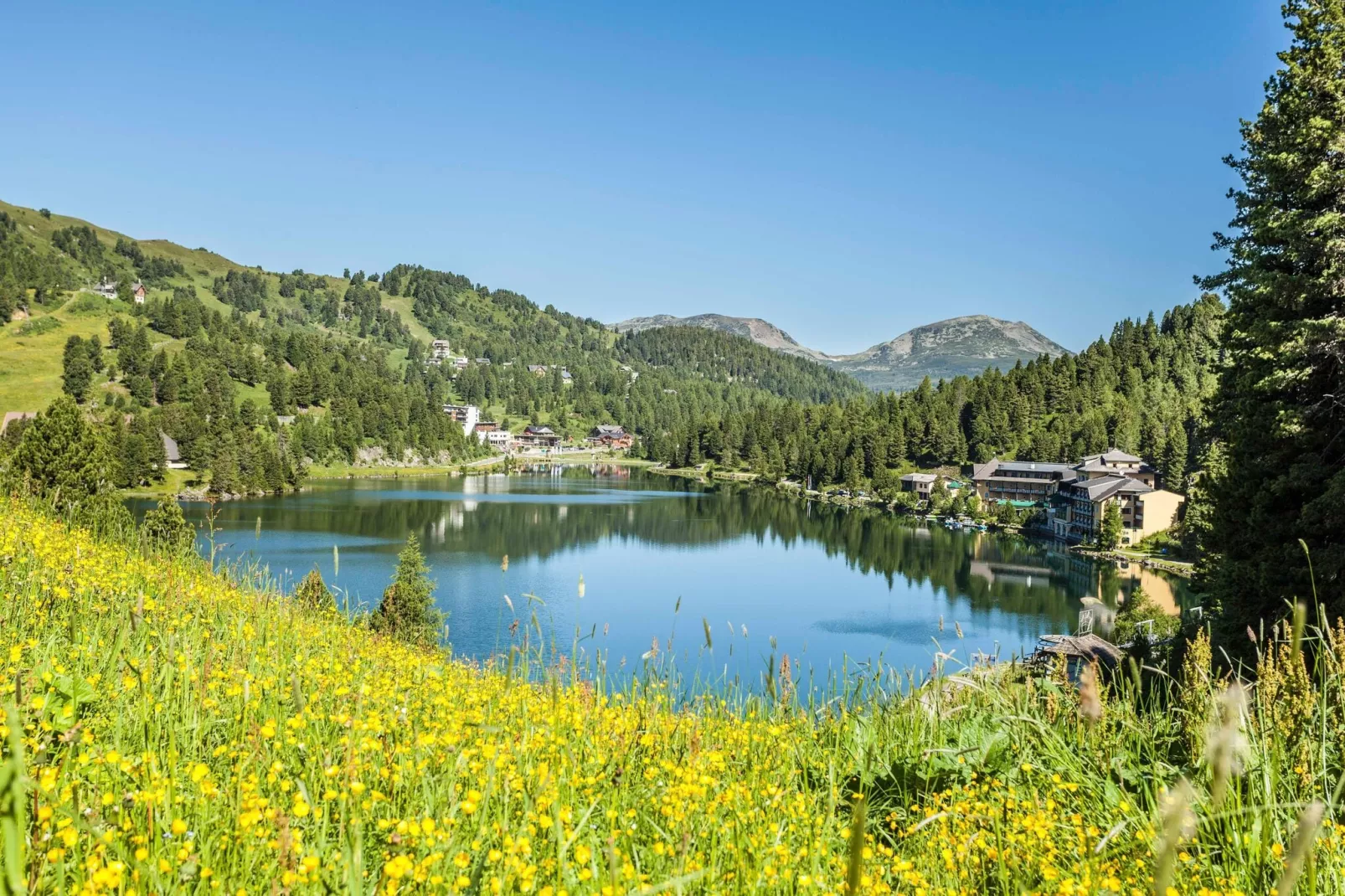 Alpenpark Turrach 5-Gebieden zomer 5km