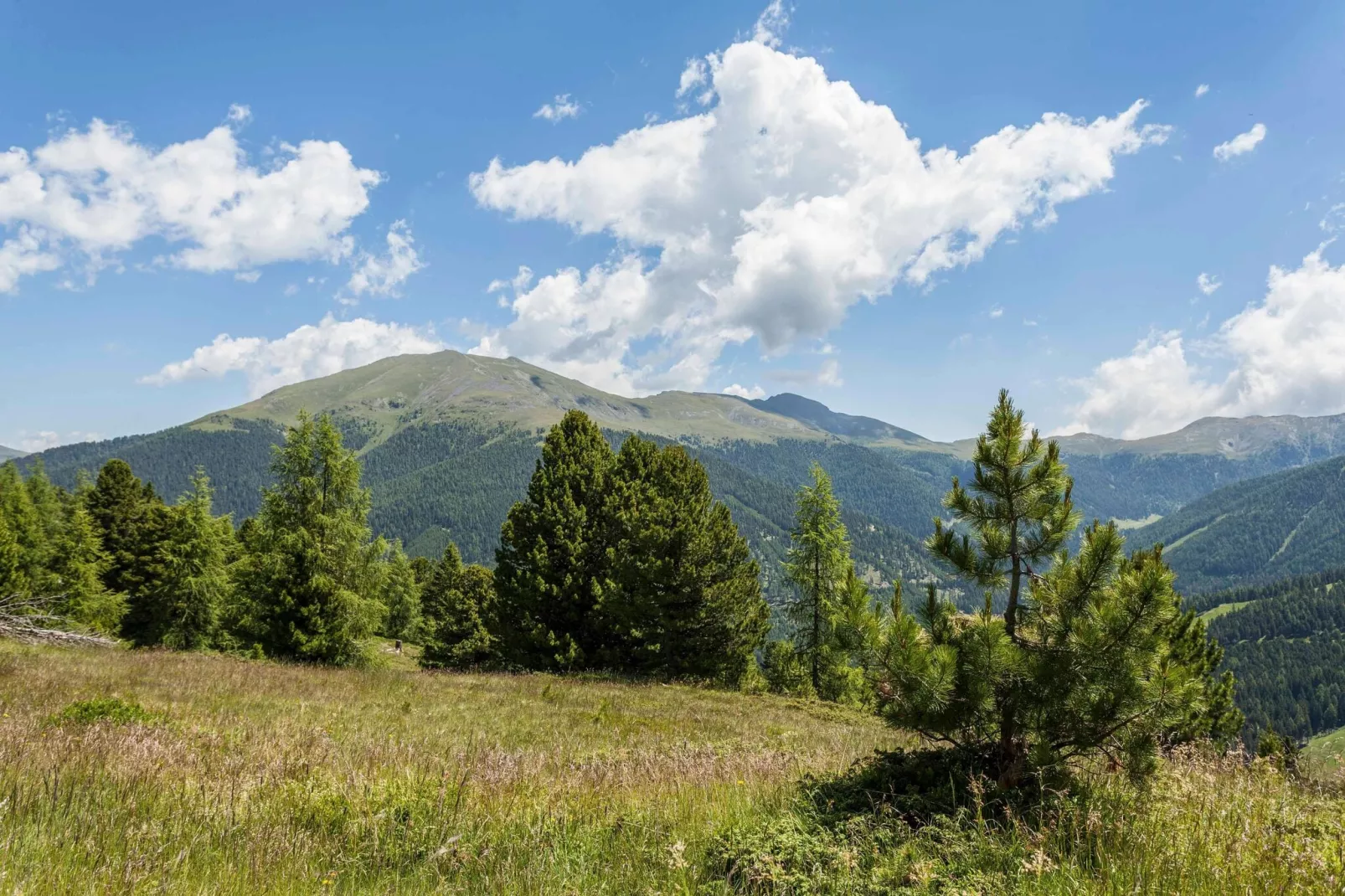 Alpenpark Turrach 5-Gebieden zomer 5km