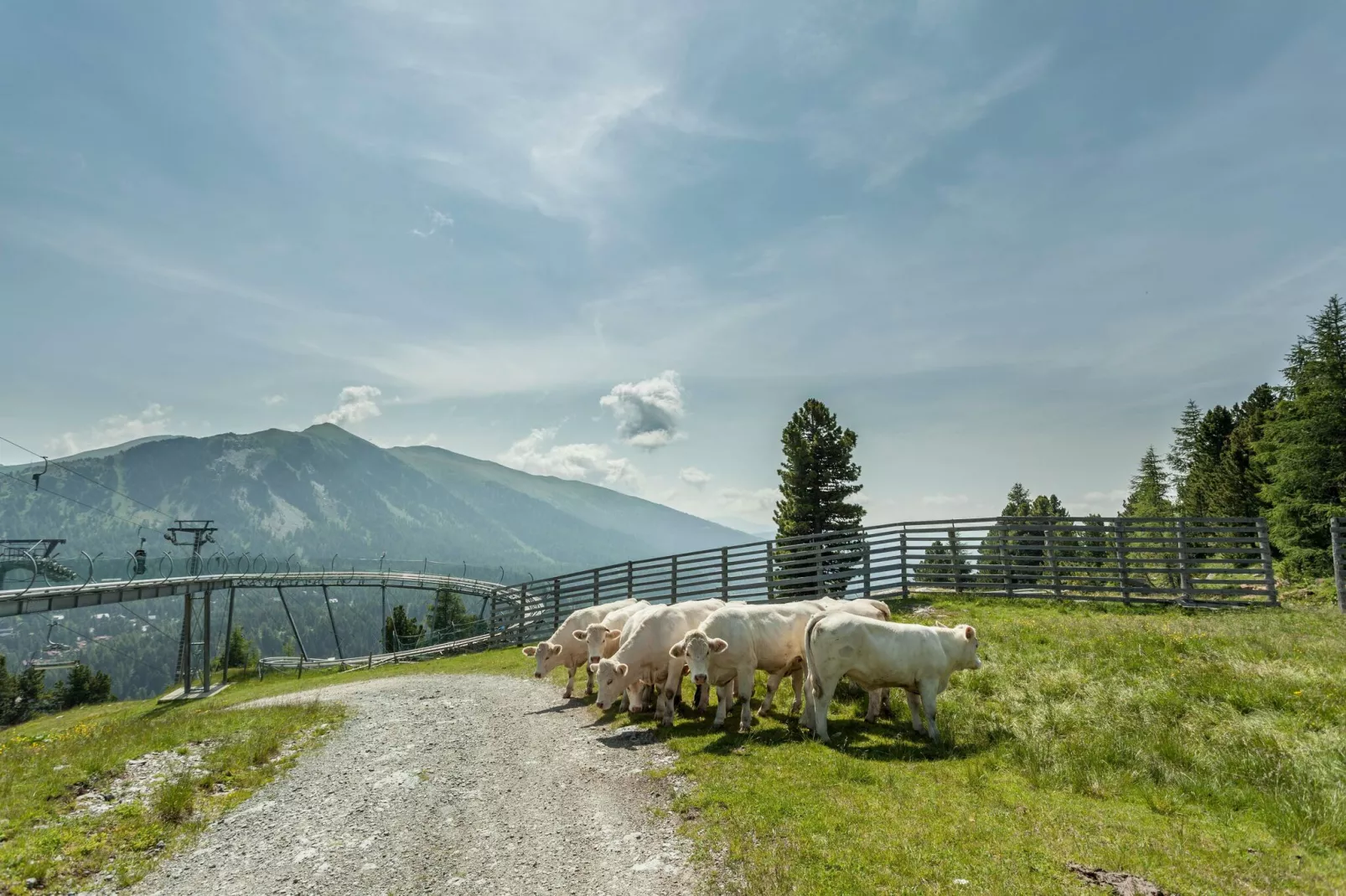 Alpenpark Turrach 5-Gebieden zomer 5km