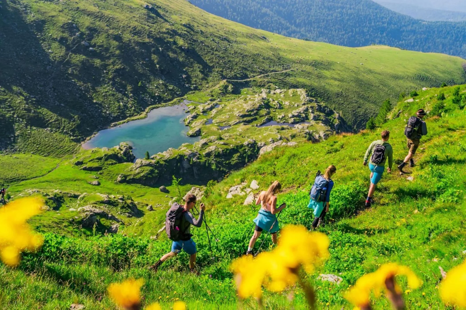 Alpenpark Turrach 9-Gebieden zomer 5km