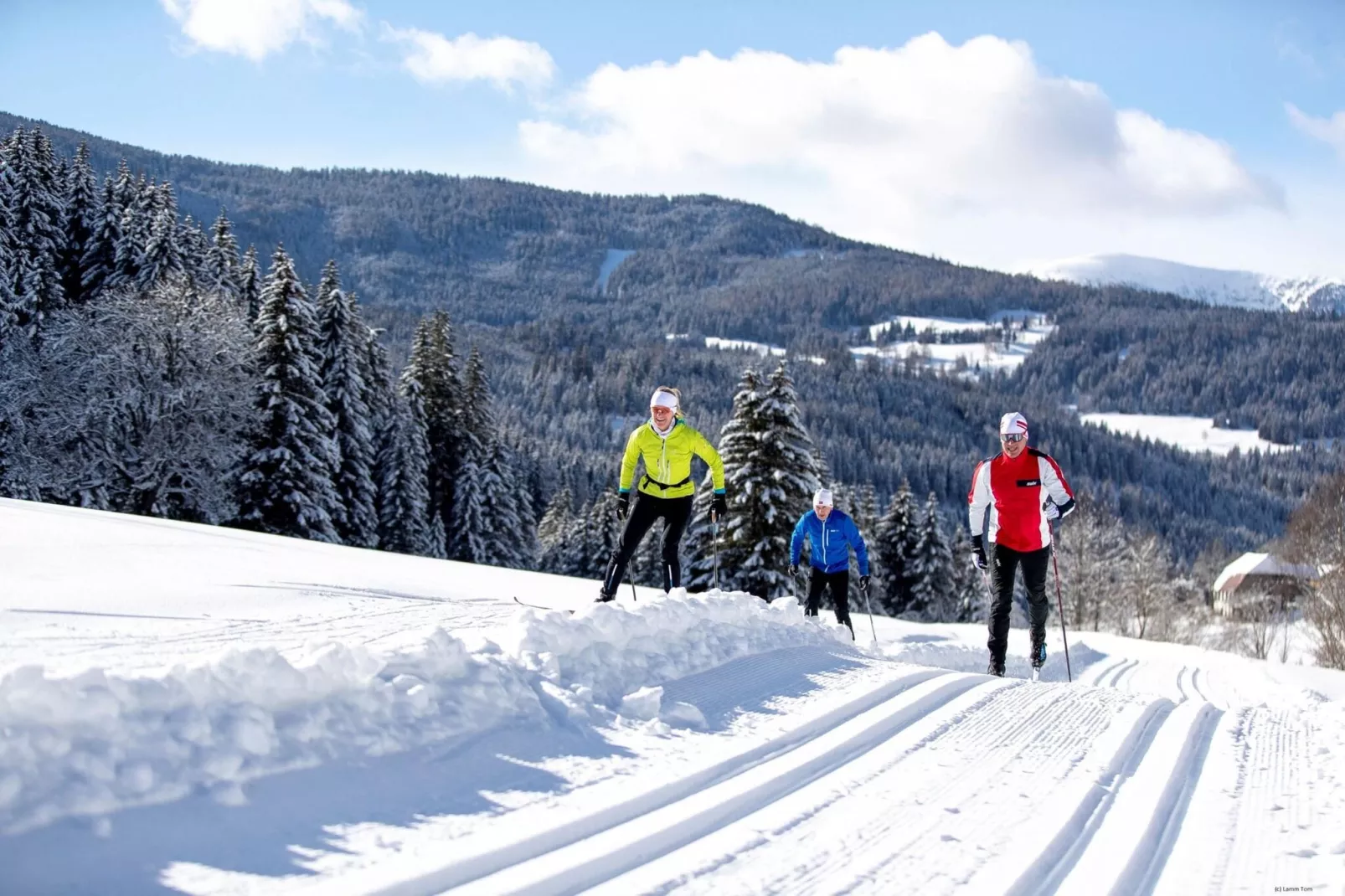 Alpenpark Turrach 9-Gebied winter 5km