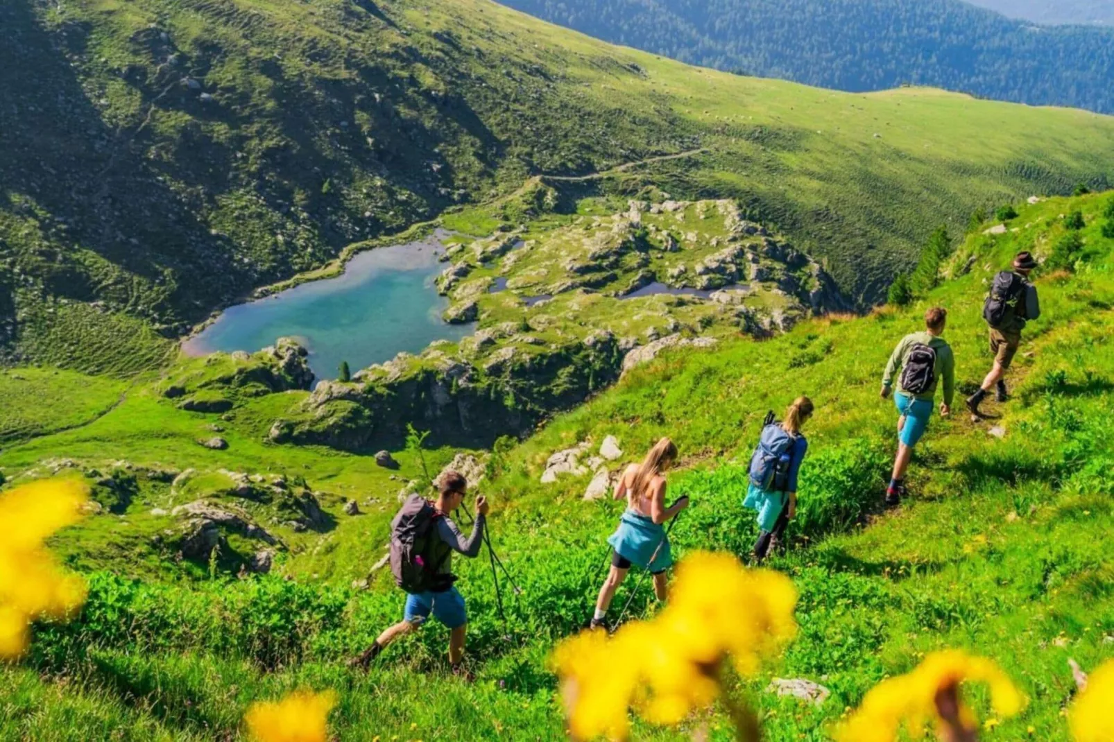 Alpenpark Turrach 20-Gebieden zomer 5km