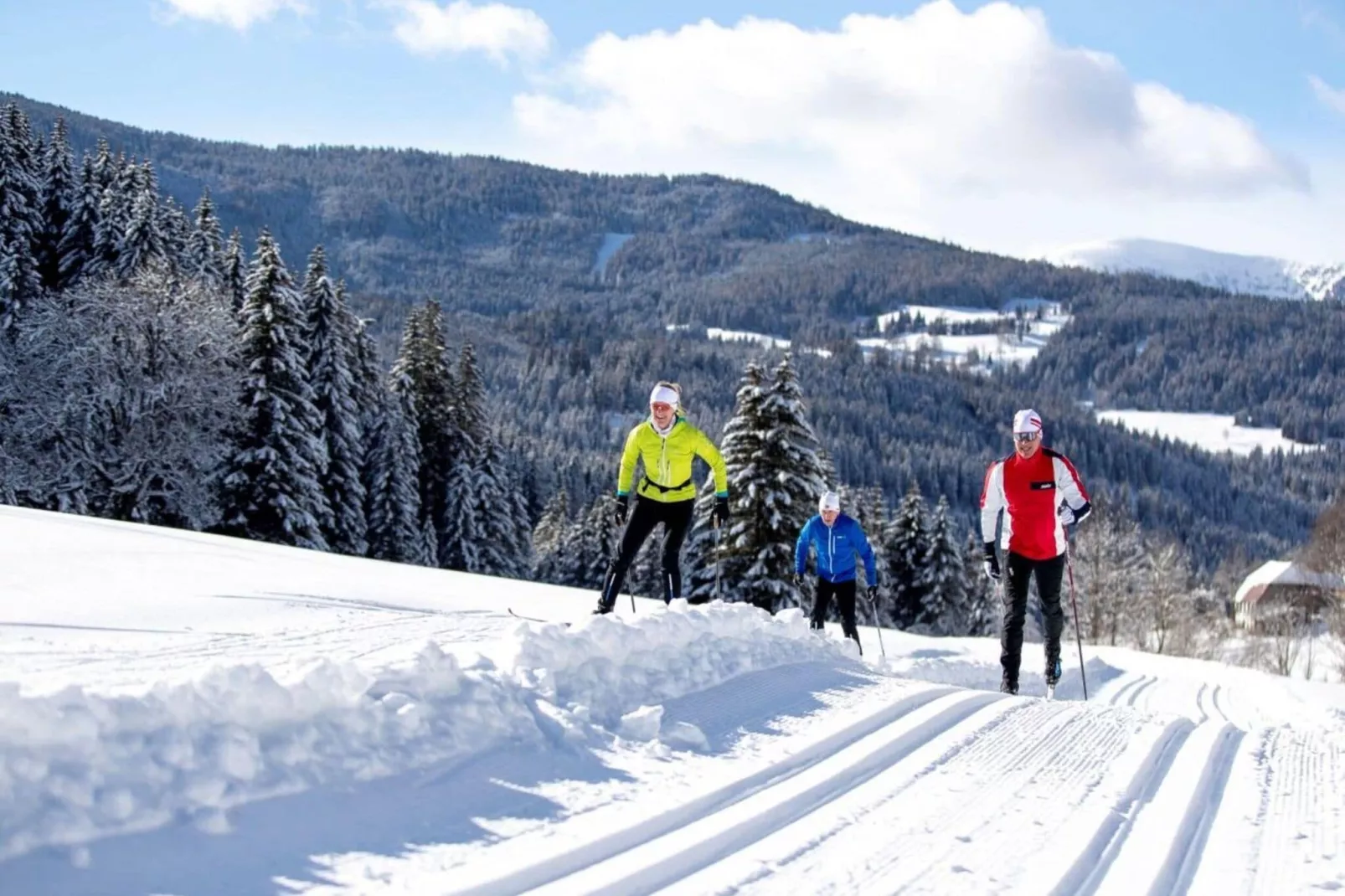 Alpenpark Turrach 20-Gebied winter 5km