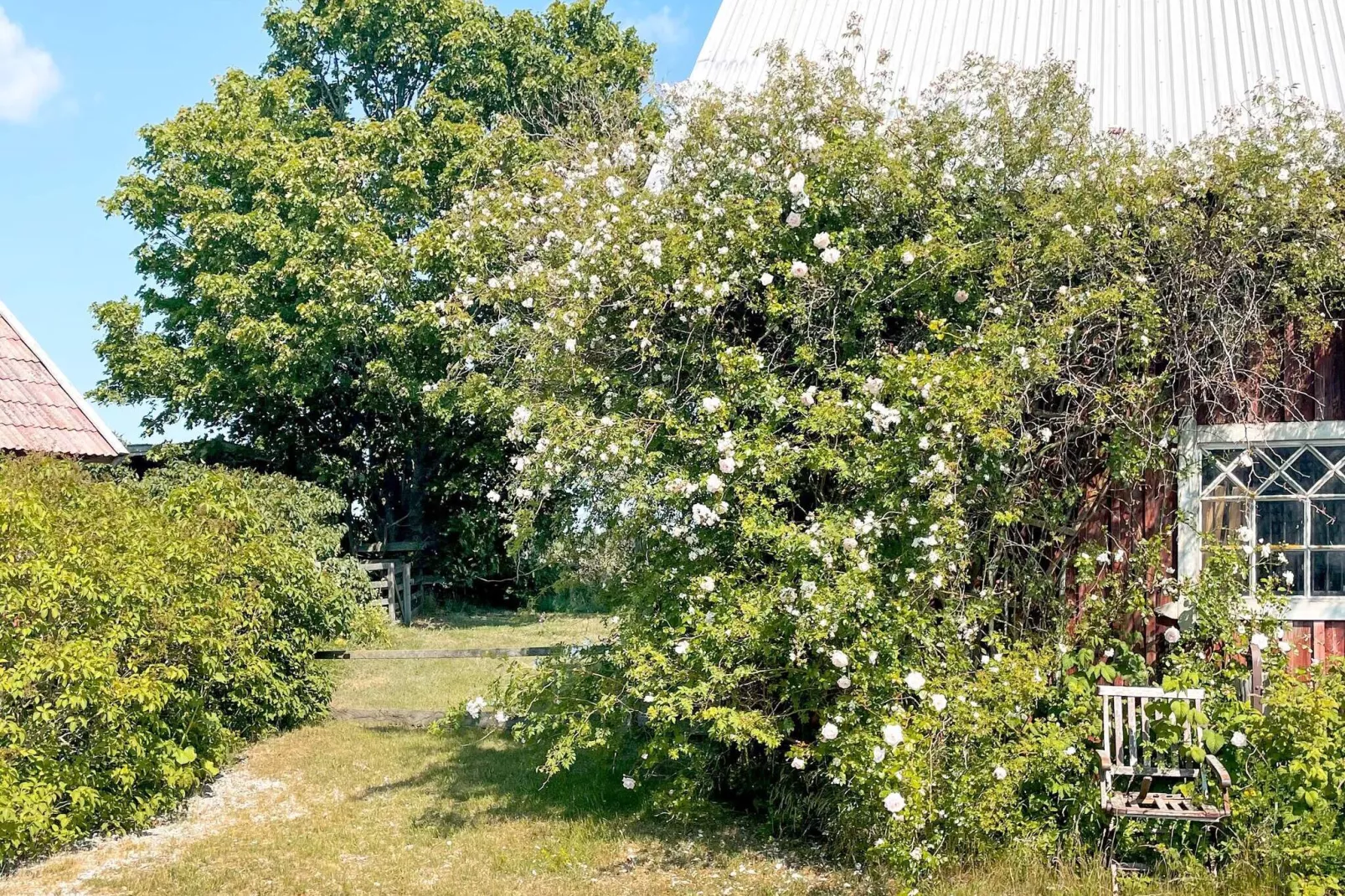 4 persoons vakantie huis in GOTLANDS.TOFTA-Buitenlucht