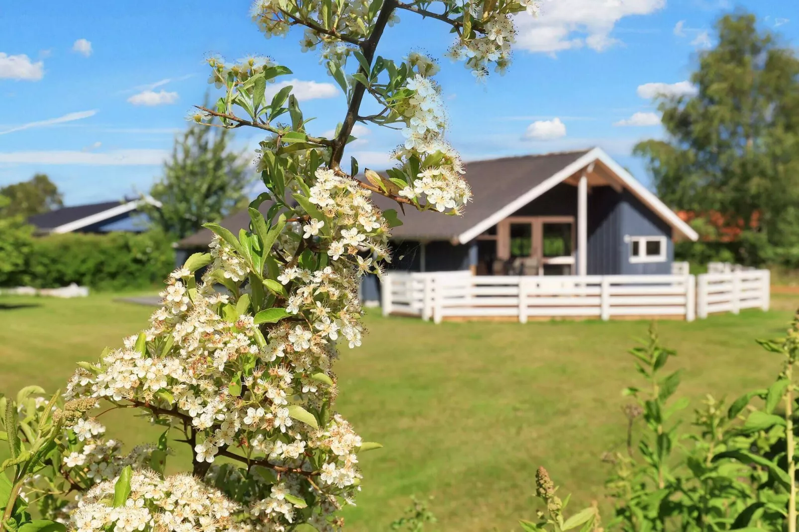 6 persoons vakantie huis in Væggerløse-Uitzicht