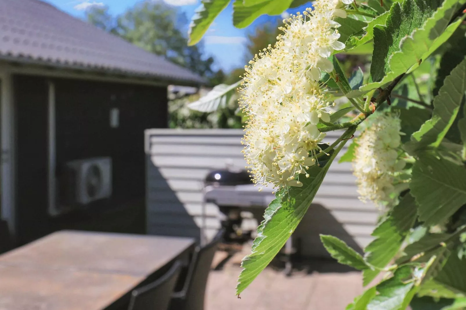 6 persoons vakantie huis in Karrebæksminde-Uitzicht