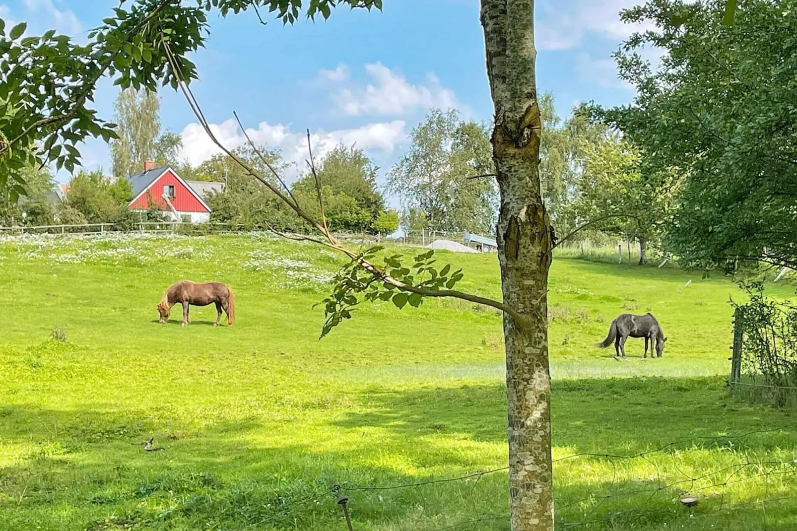 4 persoons vakantie huis in SKURUP-Niet-getagd