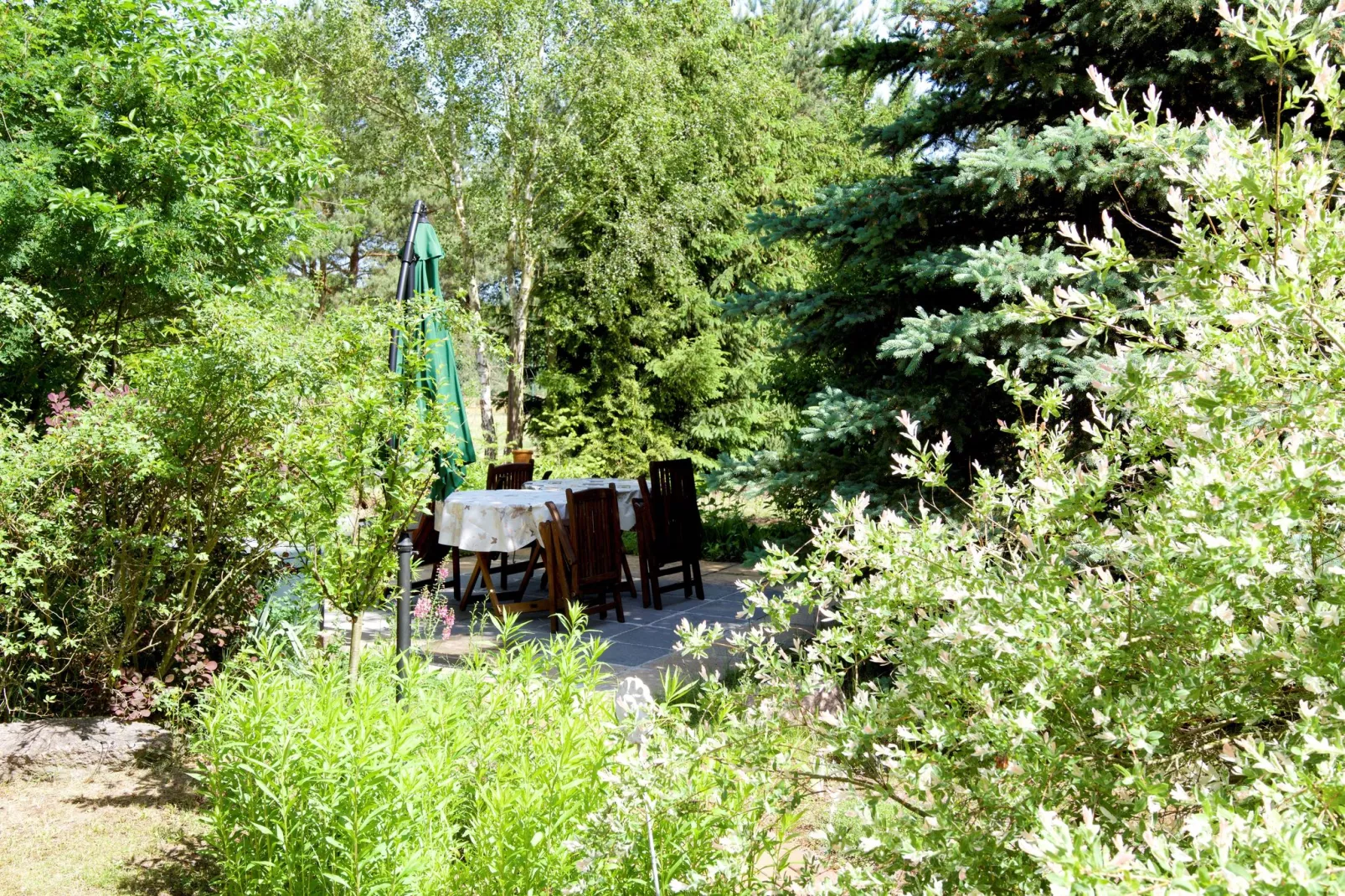 Ferienhaus Ahlbeck am Haff - Schlafen unter Reet / 2-Tuinen zomer