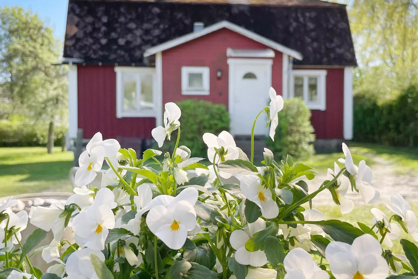 4 persoons vakantie huis in SÖLVESBORG-Buitenlucht