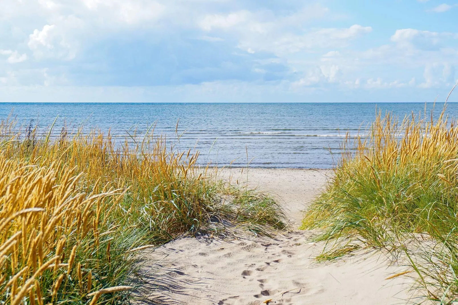 4 persoons vakantie huis in FALKENBERG-Niet-getagd