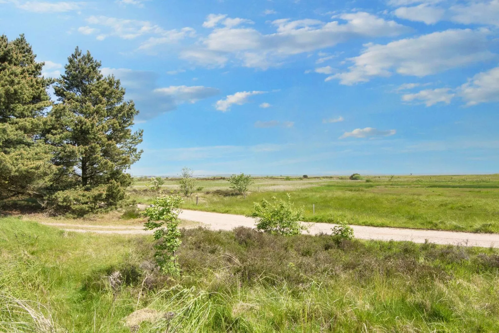 5 persoons vakantie huis in Fanø-Waterzicht